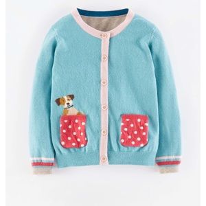 Mini Boden puppy sweater